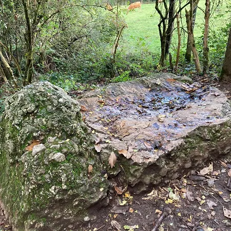 Knus Natuurhuisje Met Zwembad In בקתה *